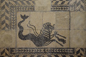 Mosaic_with_Hippocamp,_a_mythological_creature_with_hybrid_body,_half_horse_and_half_fish,_from_São_Sebastião_do_Freixo,_National_Archaeology_Museum_of_Lisbon,_Portugal_(13188929355).jpg