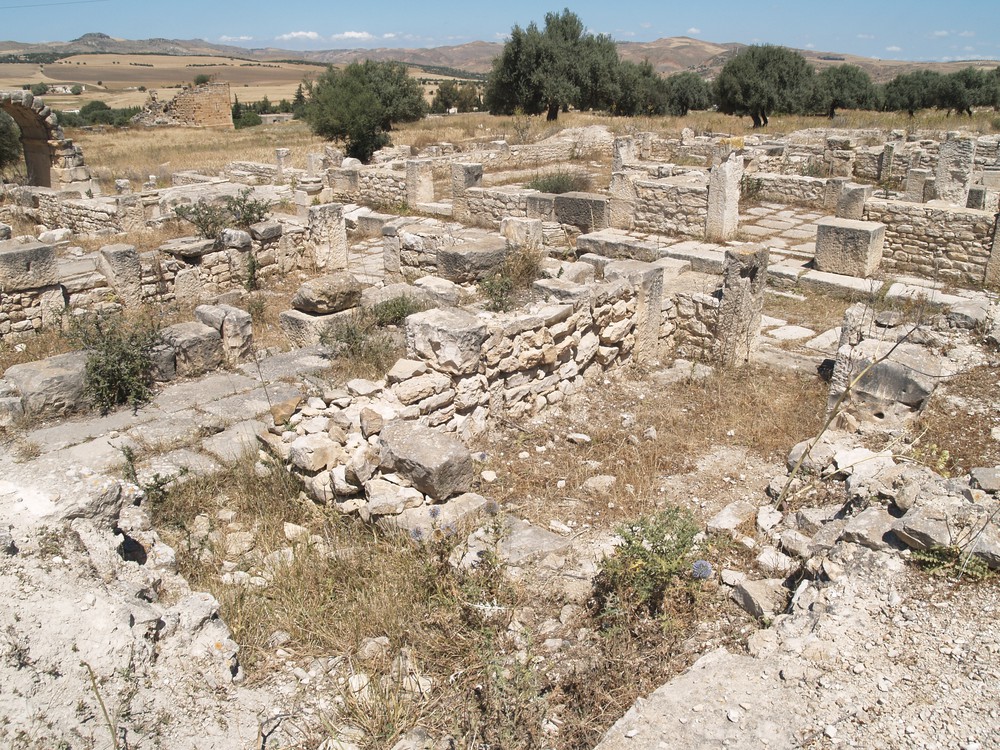 Archaeological_Remains_of_Roman_Houses_at_Dougga_-_isawnyu.jpg