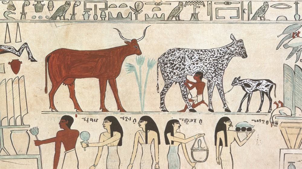 What was Daily Life like in Ancient Egypt? 
