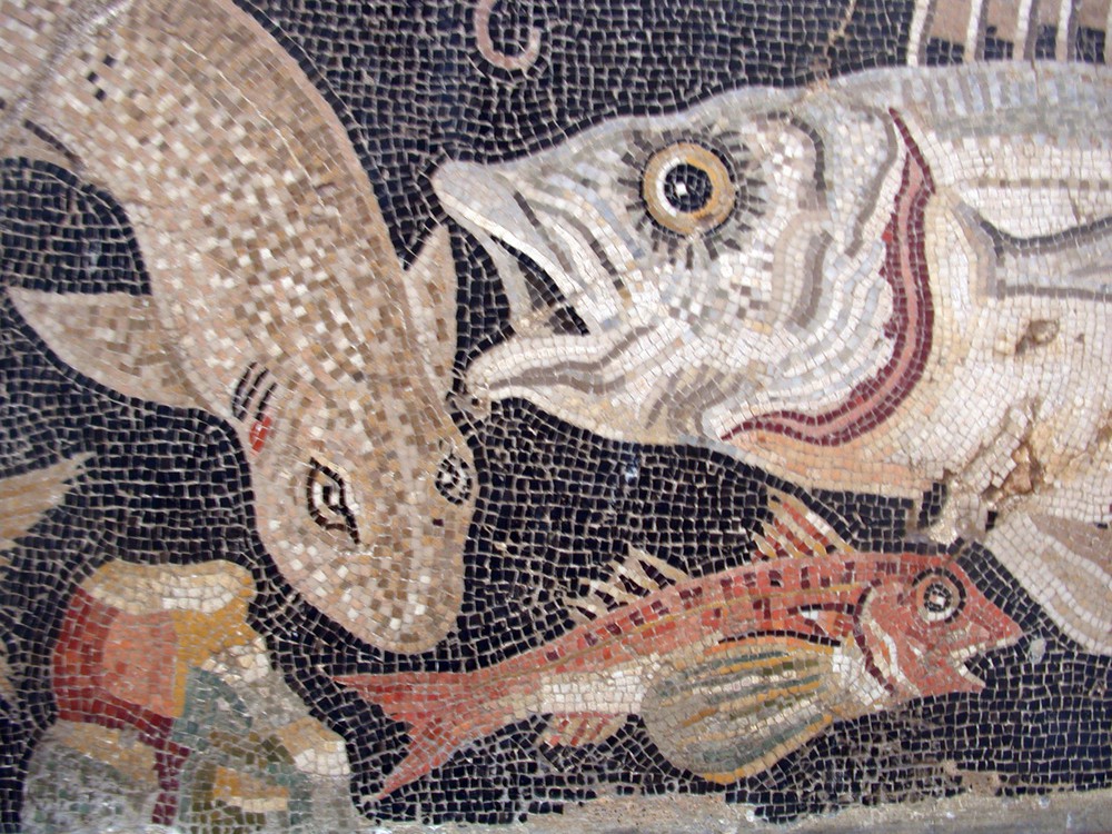 Mosaic_fishes_MAN_Napoli.jpg