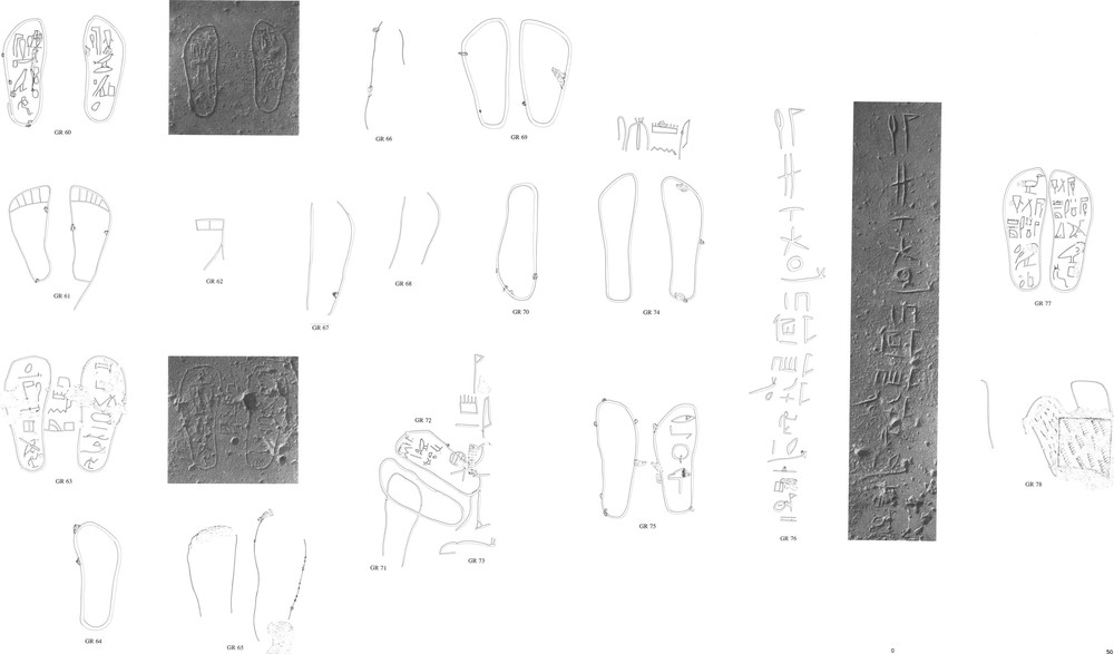 Plate212.jpeg