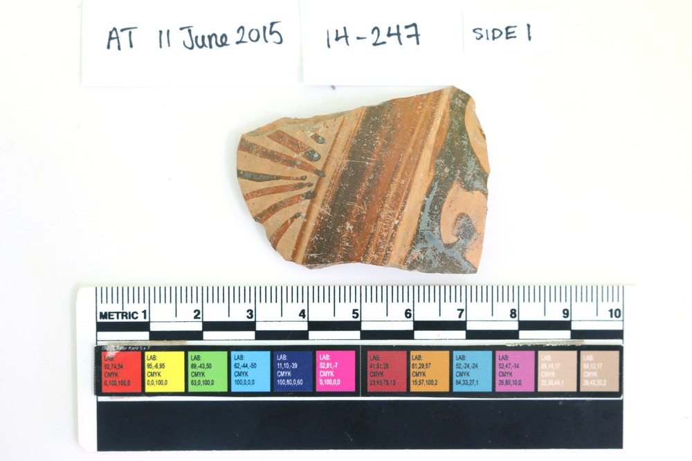 MCAP15_00041 (1).jpg