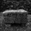 altar-at-copan_5e670a18-0bf2-4f12-87f5-04cc4ce3a61c.jpg