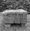 altar-at-copan_82062464-7b5d-4646-a1cd-00378c6f7745.jpg