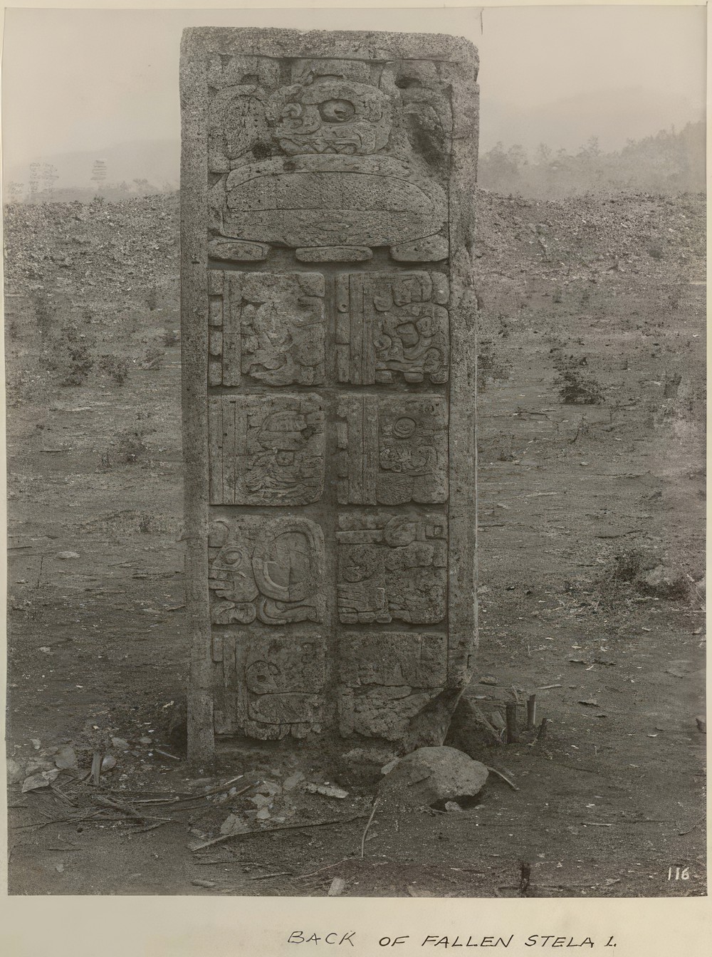 back-of-fallen-stela-1_387e4e15-b7fb-4fba-9d69-252bbb57114b.jpg