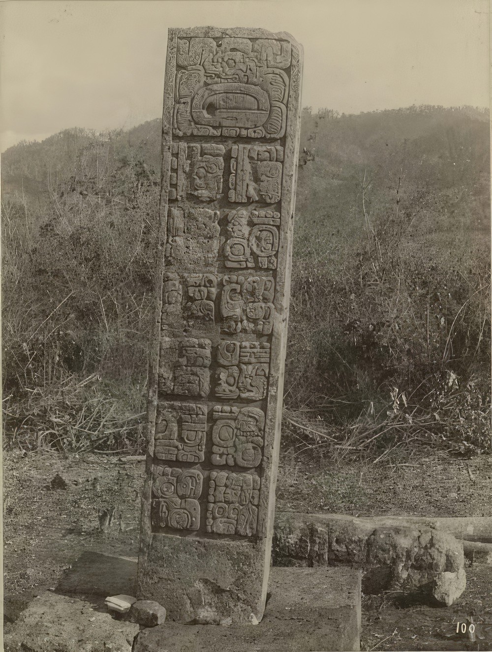 back-of-stela-6_93c6349d-ad9d-4972-8525-275a672d2ea1.jpg