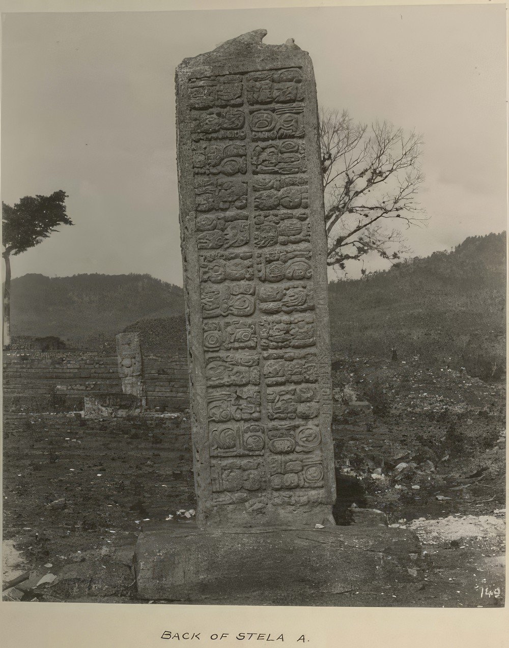 back-of-stela-a_ad06992f-05cb-468e-97f3-6c2a4b2cc8de.jpg