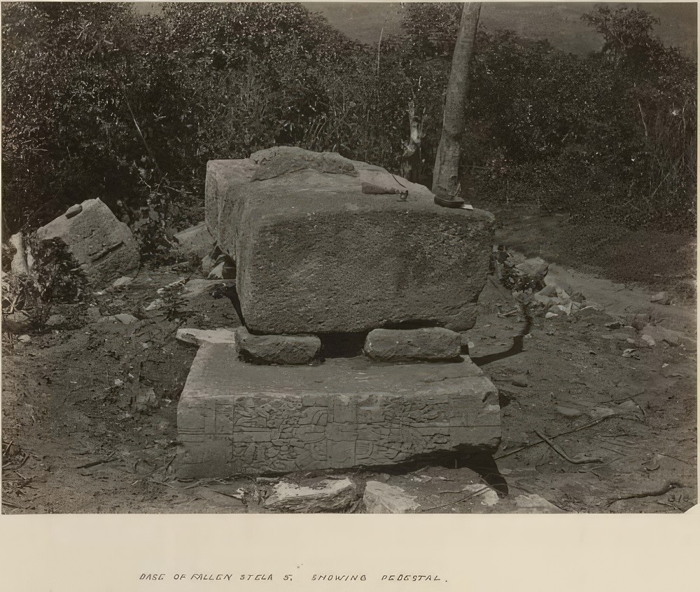 base-of-fallen-stela-5-showing-pedestal_46430df8-6167-4f25-8f77-f1a9078e8a95.jpg