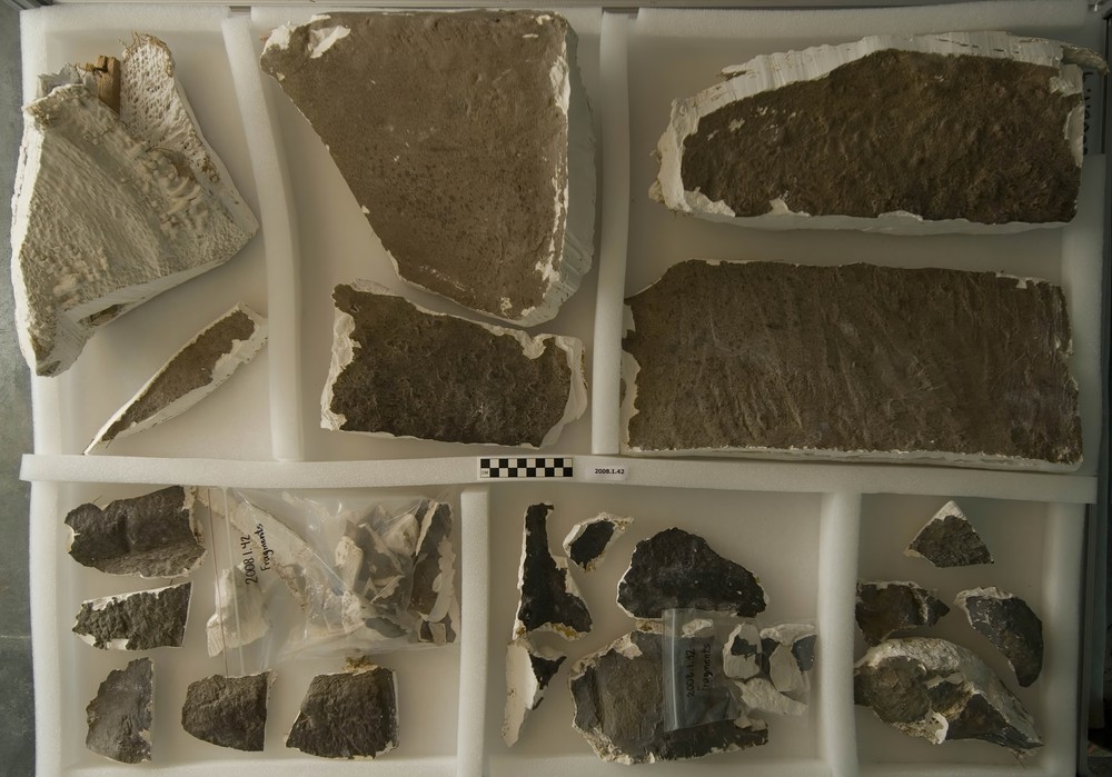 cast-fragments-from-various-monuments-miscellaneous-sites-quiriqua-and-copan_0b828347-1736-429f-9f91-7a08f483b4ae.jpg