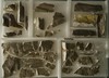 cast-fragments-from-various-monuments-miscellaneous-sites-quiriqua-and-copan_bae83449-c4d3-4c78-b2bb-33b07769bbfb.jpg