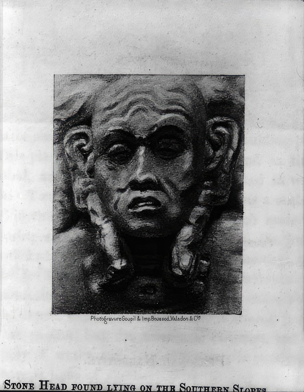 copan-head-from-stevens-book_a124b42f-860f-4e2e-b6a2-293e08e33b14.jpg