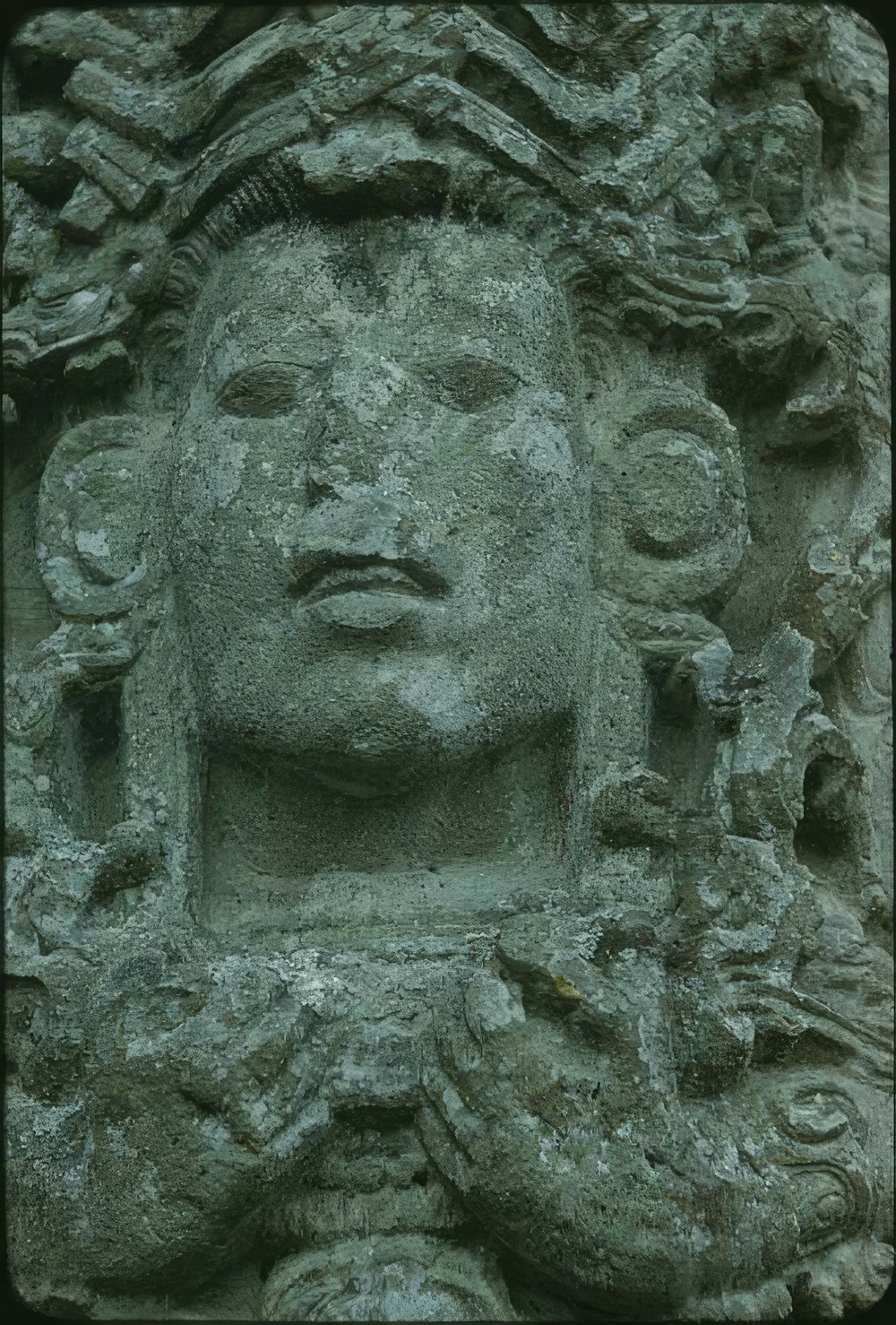 copan-stela-a-detail_45a6172b-022f-49f7-99cb-2882fd33e21c.jpg