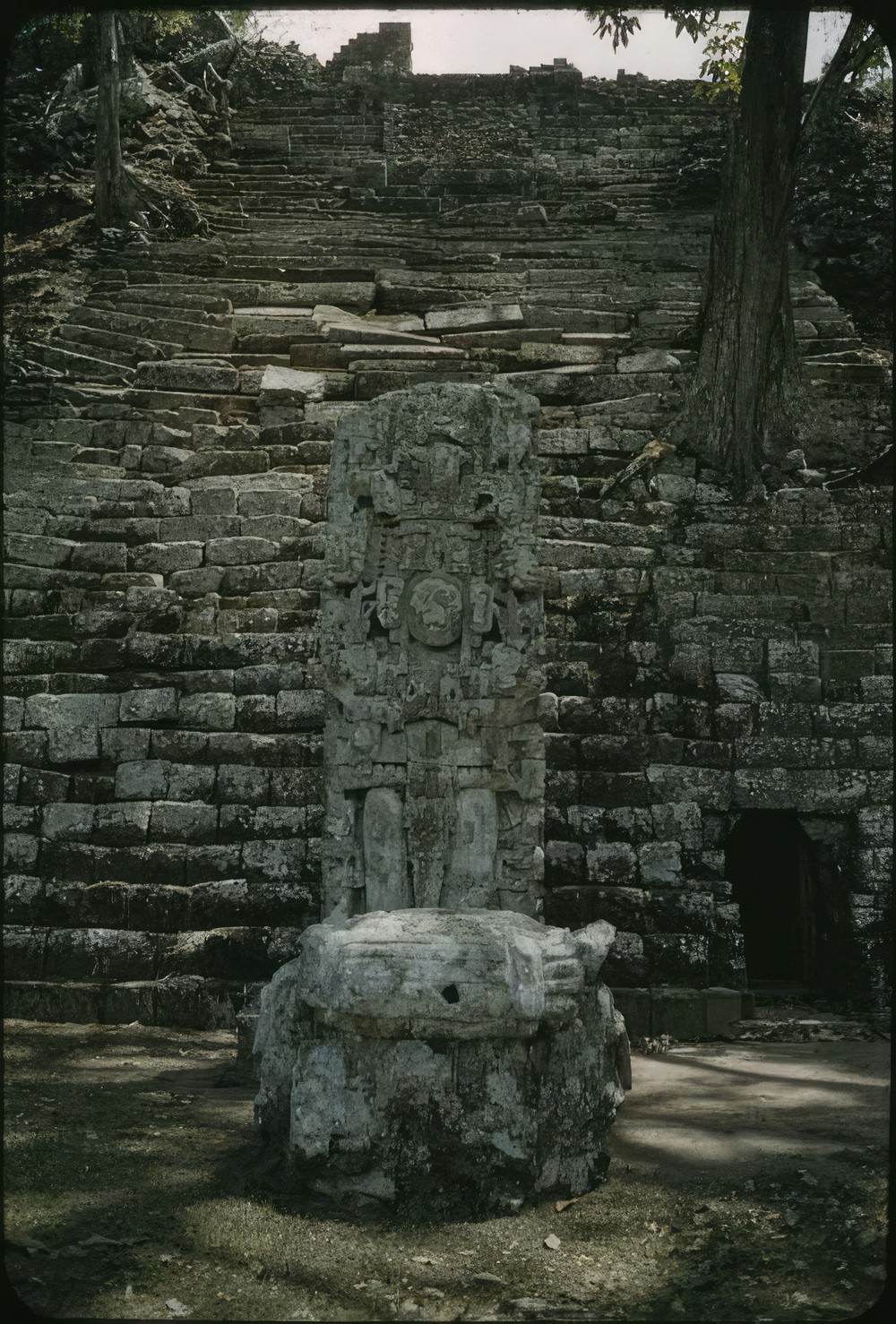 copan-stela-n_9f99f8e2-9c6a-491c-824c-0cda7b7dcfc7.jpg