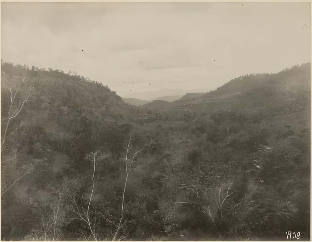 copan-valley-from-altar-13-looking-southwest_efb6d748-596a-4a8c-8386-89e2cf02ab2e.jpg