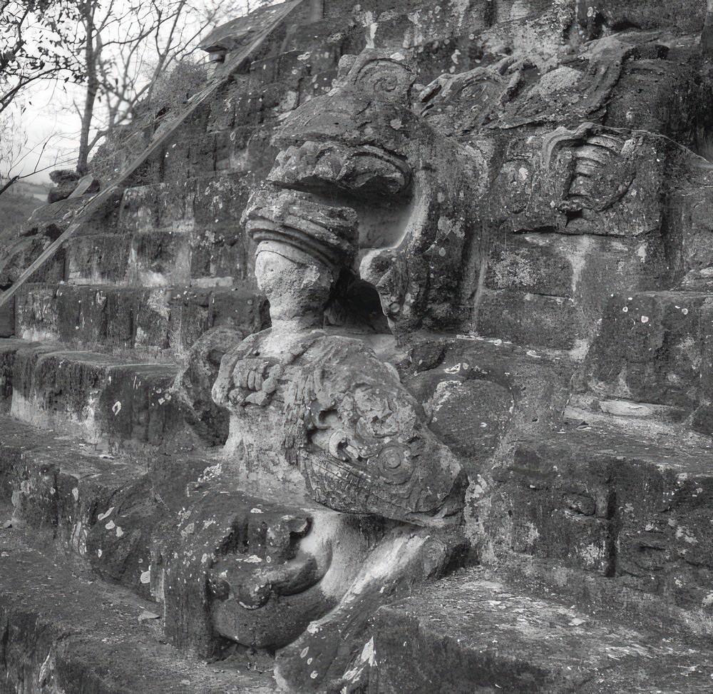 detail-of-hieroglyphic-stairway-at-copan_585721b0-62f7-4d30-be42-bde5e30b9674.jpg