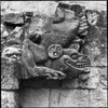 detail-of-temple-11-at-copan_0f14d4e5-63d6-4651-8451-c27e9b77037c.jpg