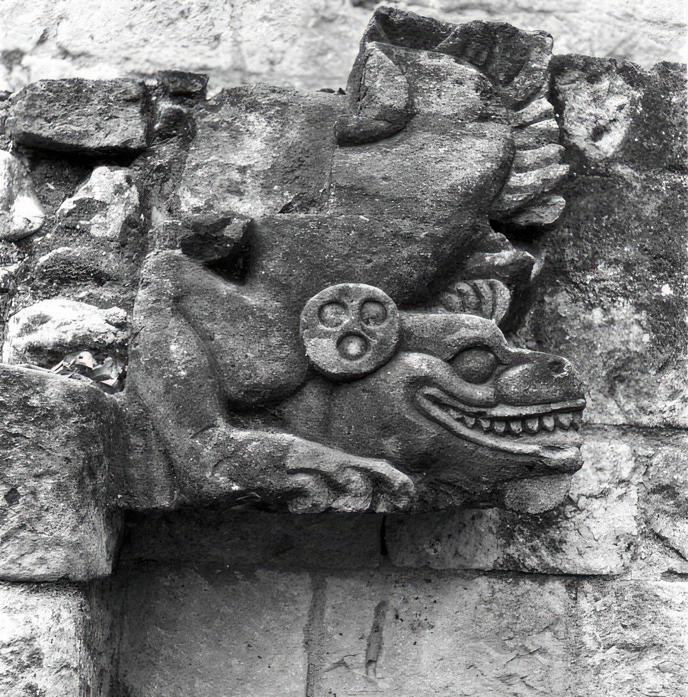 detail-of-temple-11-at-copan_c31625c2-6d74-4f7a-a238-1154f5529335.jpg