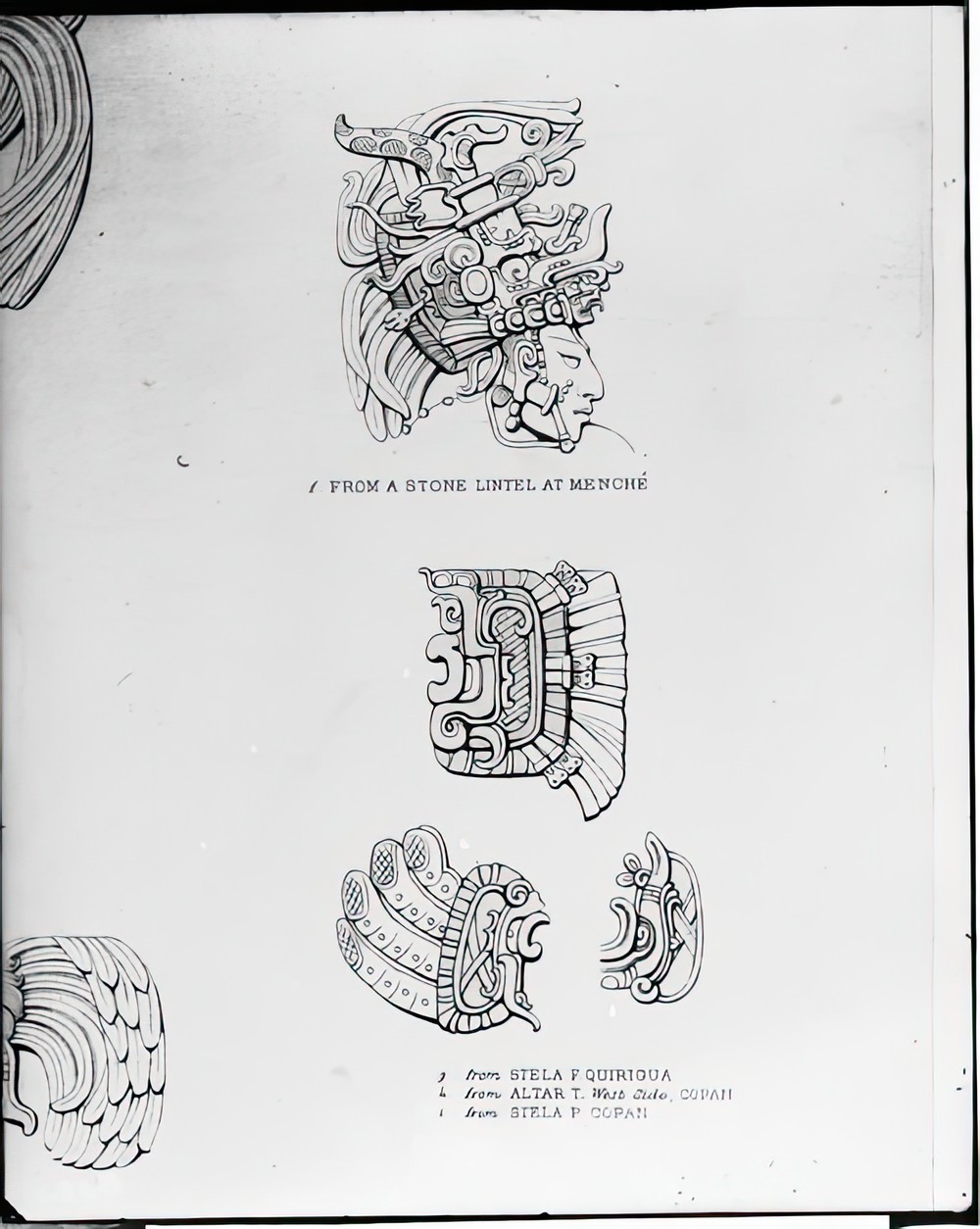 drawing-of-head-from-lintel-and-serpent-bird_b4fc27f3-8de7-451a-b06b-2aa07f0ba08e.jpg