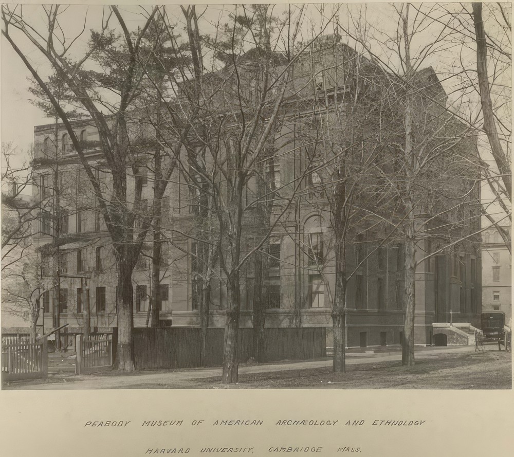 exterior-of-peabody-museum-of-archaeology-and-ethnology-horse-drawn-carriage-at-far-right_238ddd94-a774-45ed-92f6-49d50a1a1532.jpg