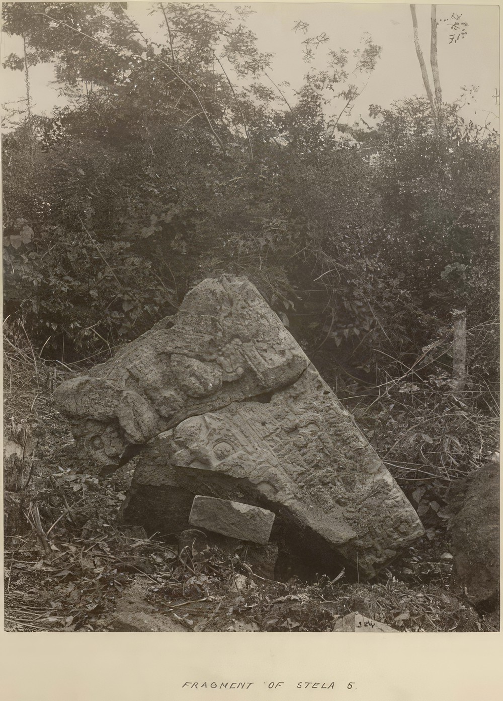 fragment-of-stela-5_145e374d-0fc6-4109-a88c-bbe7281947af.jpg