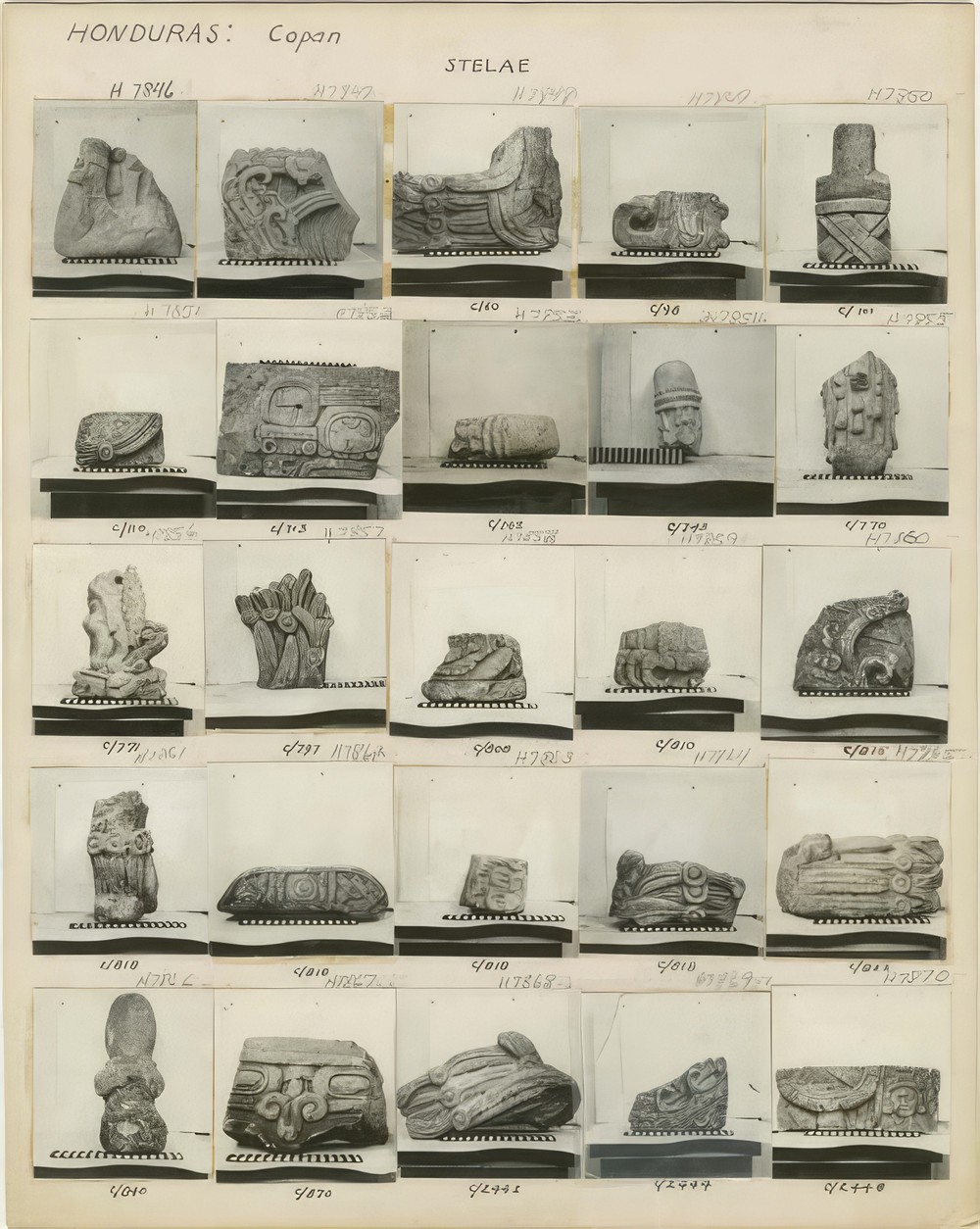 fragment-of-stelae_1a6720d1-d811-4c47-9576-c8475b6ddad6.jpg