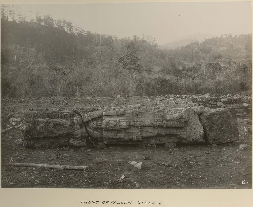 front-of-fallen-stela-e_189e0cb5-0532-4553-86f7-d5d76c07532a.jpg