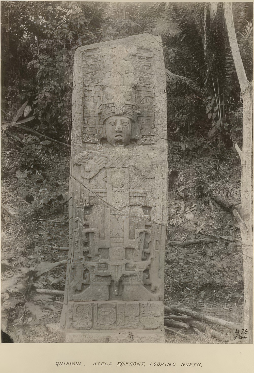 front-view-of-stela-2c-looking-north_0a008f80-184f-477a-a18e-298fbd8726c4.jpg