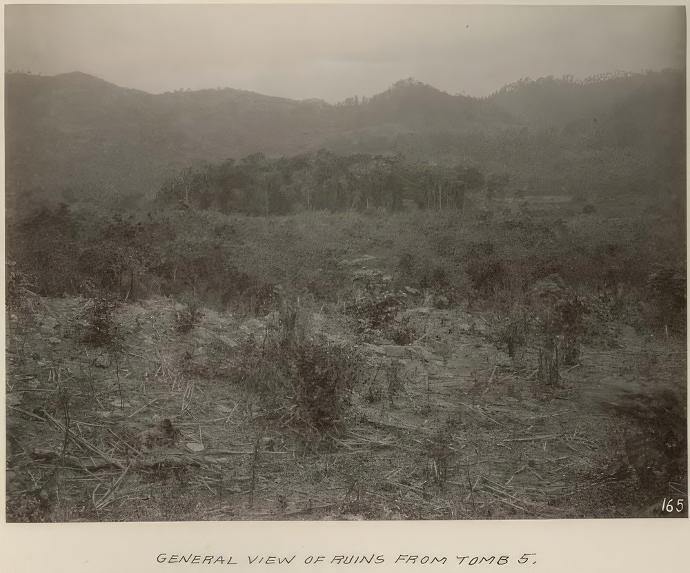 general-view-of-ruins-from-tomb-5_bfd75d0b-06f9-490d-9a13-0ea3b3f4fee3.jpg