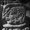 glyph-detail-at-copan_3102a8fb-e496-48b0-b74e-6391cbb4e600.jpg