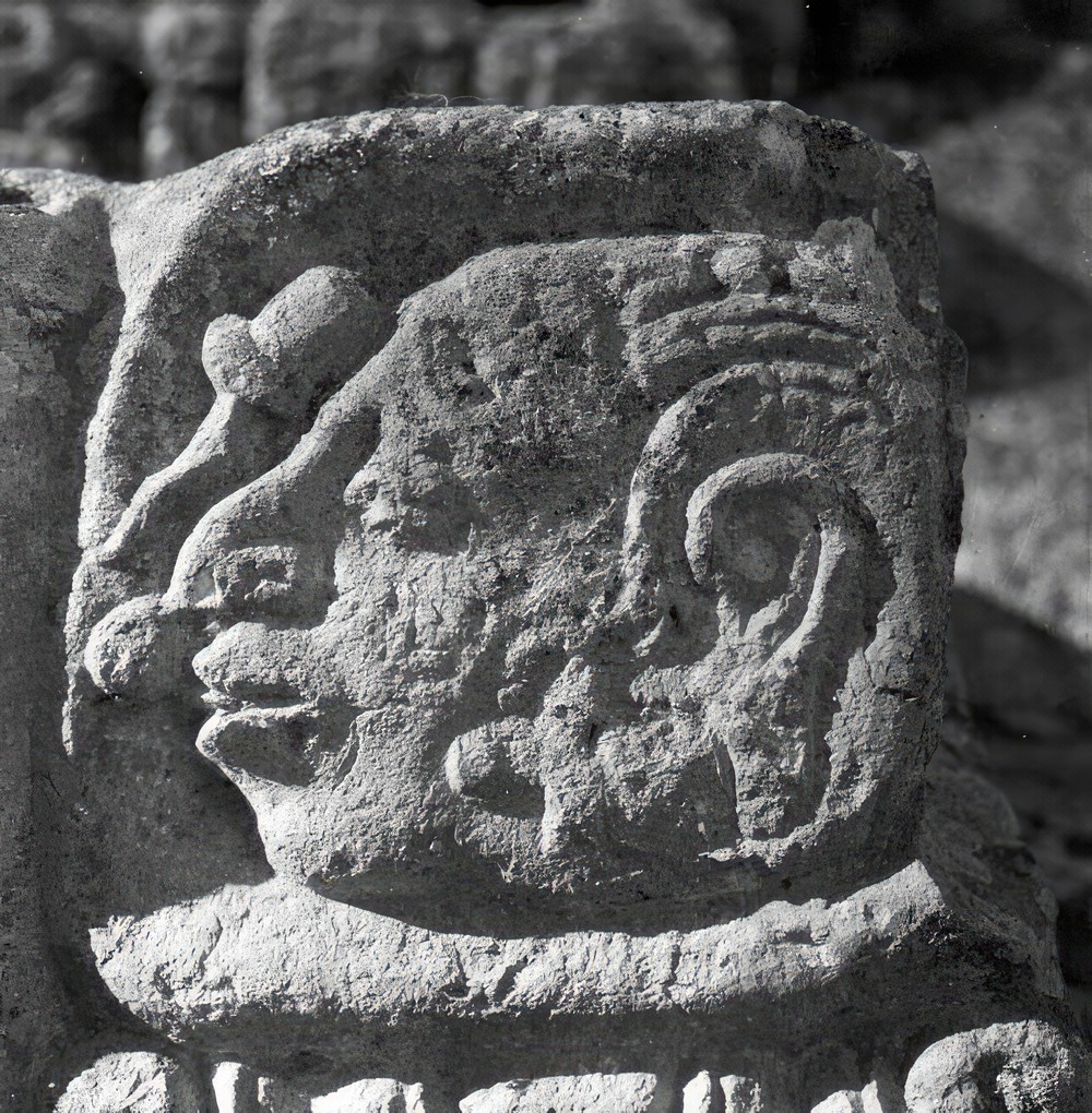 glyph-detail-at-copan_e5af9443-e437-4b0d-98ef-badbe7ef19c5.jpg