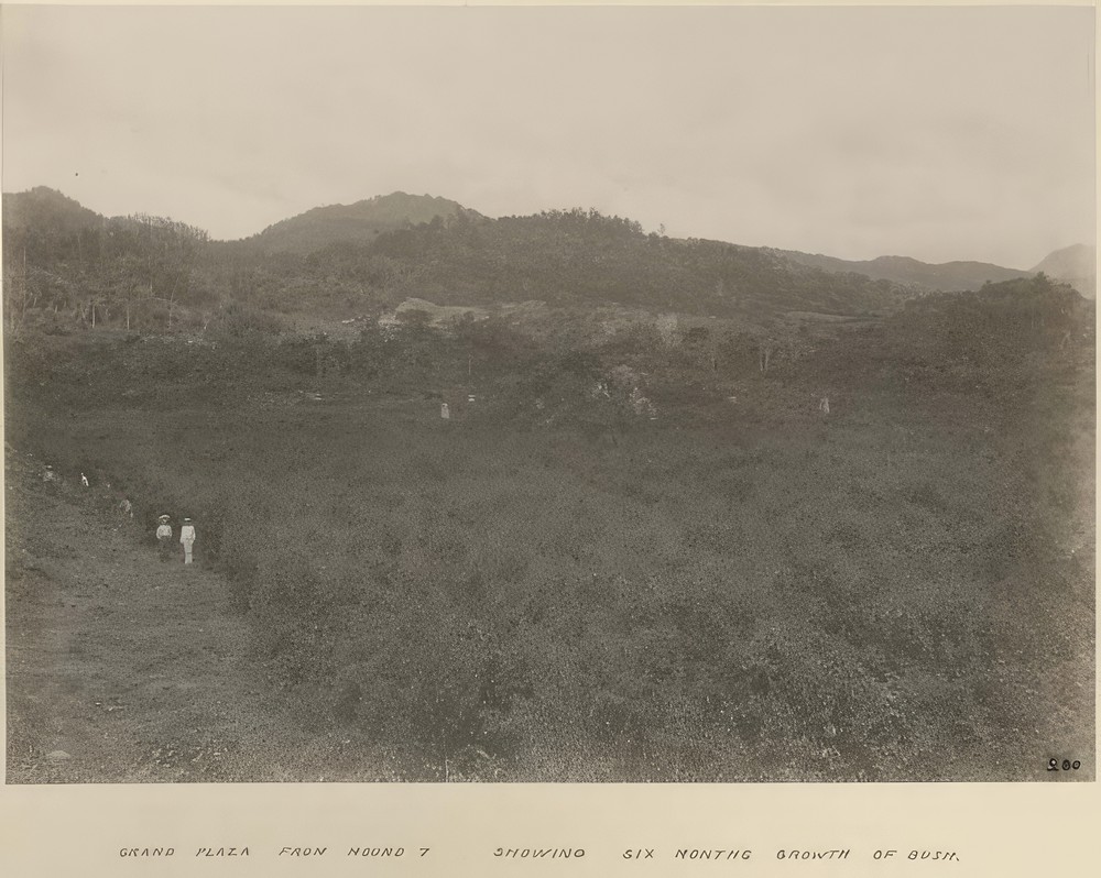 grand-plaza-from-mound-7-showing-six-months-growth-of-bush_359f6317-1519-4a24-9307-2a8cf0de9b2c.jpg