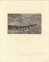 home-used-by-expedition-at-ruins-of-copan-built-by-owens-1891_312dde59-b713-40c4-a159-95147d90ae9c.jpg