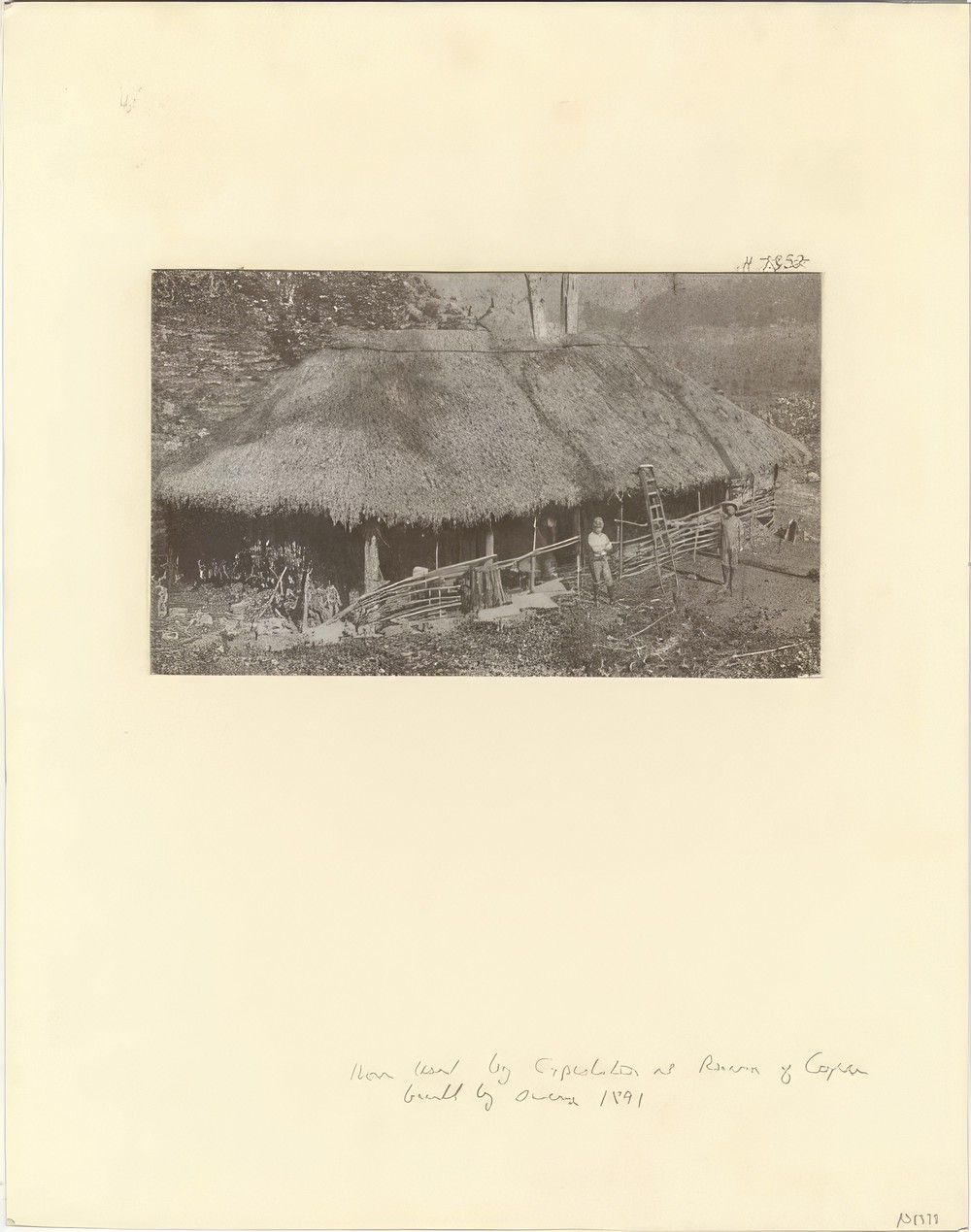 home-used-by-expedition-at-ruins-of-copan-built-by-owens-1891_312dde59-b713-40c4-a159-95147d90ae9c.jpg