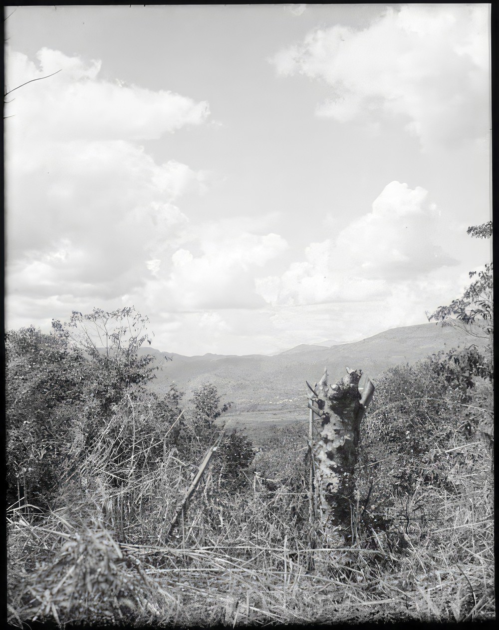 looking-at-stela-10-across-the-copan-valley-from-stela-12_7074d236-dec3-4ba9-ade3-9e4f0cbba07c.jpg