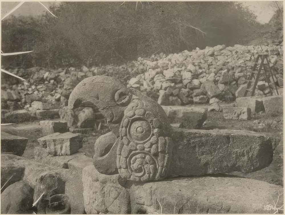 macaws-head-sculpture-next-to-ruins-of-hieroglyphic-stairway_0e2b04bd-65c6-4fe6-a0cc-e7df591706a6.jpg