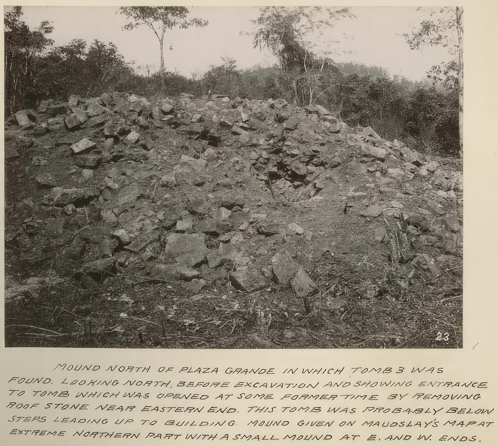 mound-north-of-plaza-grande-in-which-tomb-3-was-found-looking-north_03ca775a-355e-433f-aca7-28b6aeaaf475.jpg