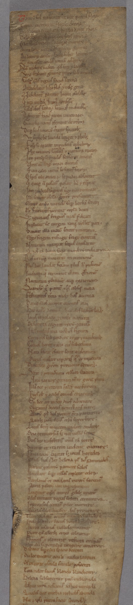 Cambridge, MA, US, Houghton Library, MS Lat 198 | Medieval Scrolls ...