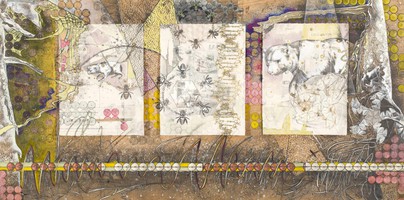 birth across borders.JPG