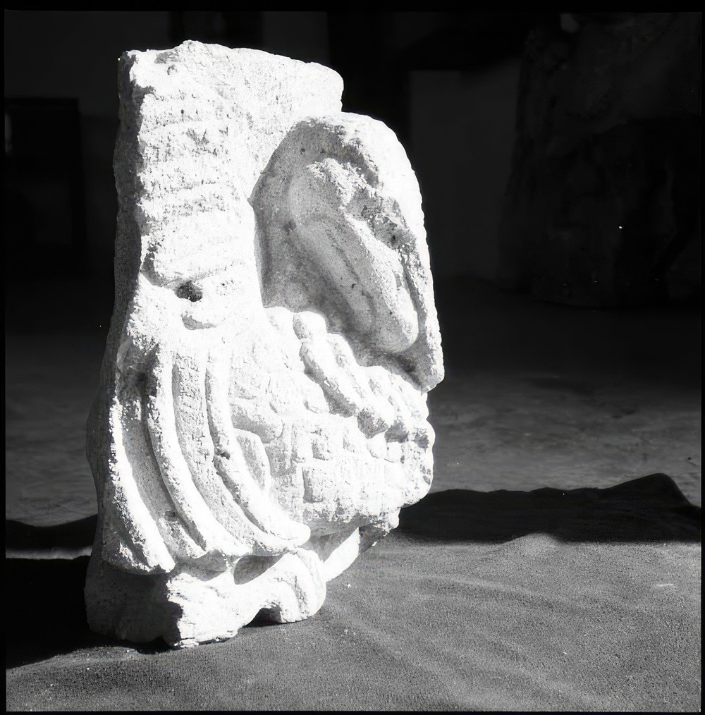 sculpted-bird-from-copan_fb1c104f-2e54-439e-9eaf-eb25587d28c2.jpg