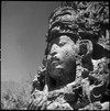 sculpted-face-at-copan_0c289f24-7a96-4cdd-acbe-2b4dc011b331.jpg