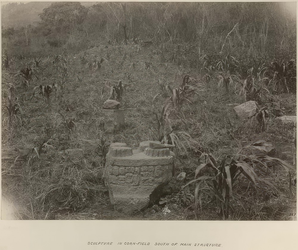 sculpture-in-corn-field-south-of-main-structure_e2247081-a154-48d6-8d8c-ec2082880b3c.jpg