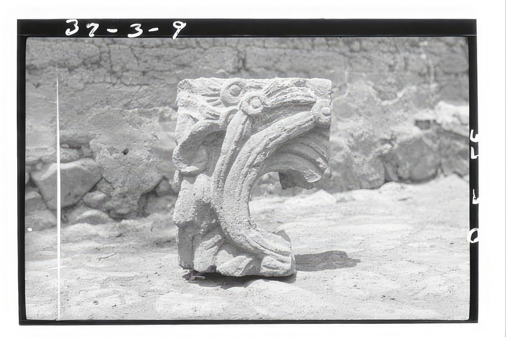 sculptured-stone-in-backyard-pension-rodriquez-reputedly-from-copan_23410f41-60fc-4805-a6b1-bbf27c75ba33.jpg