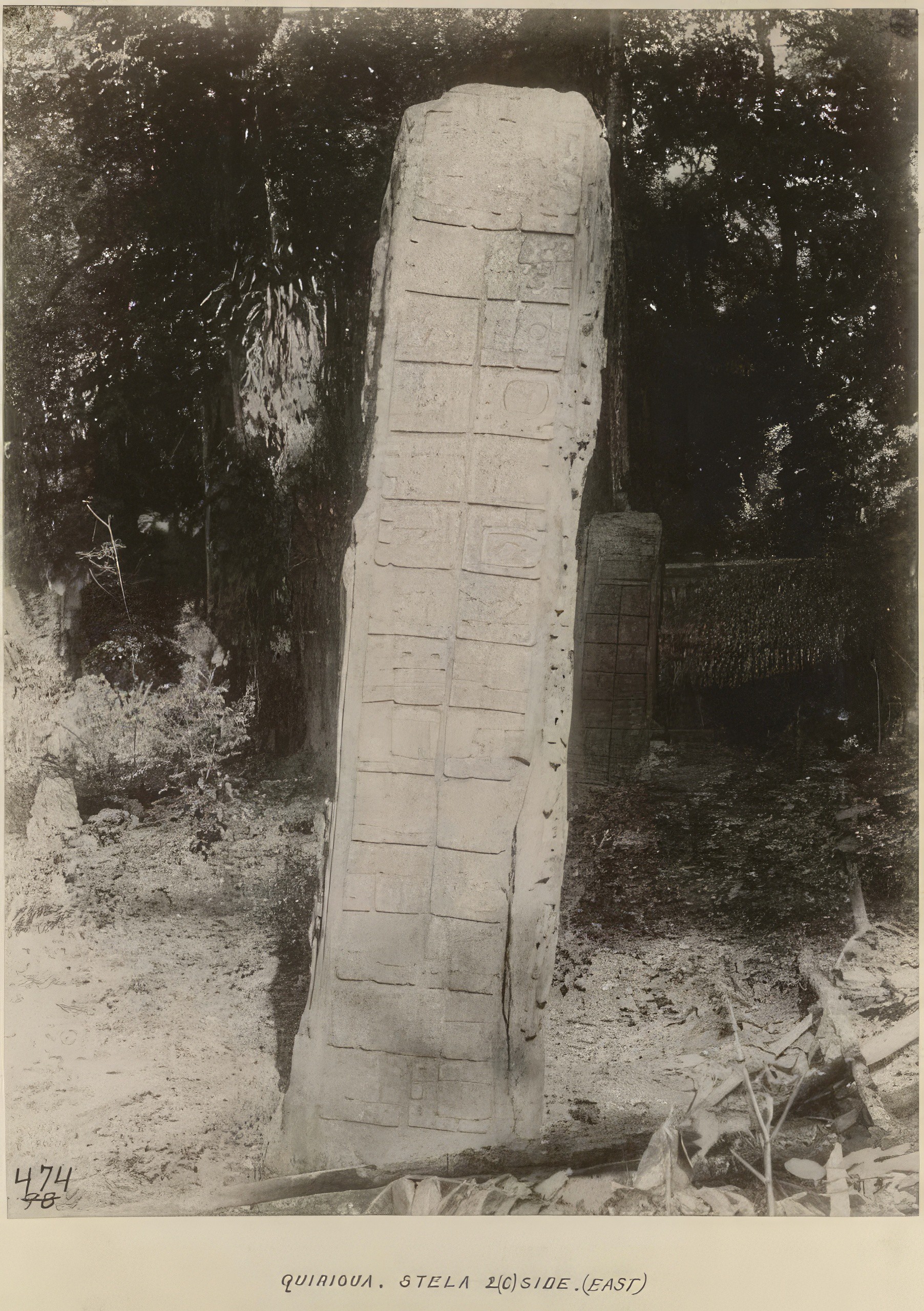 Side view of Stela 2C | Copán Ruinas