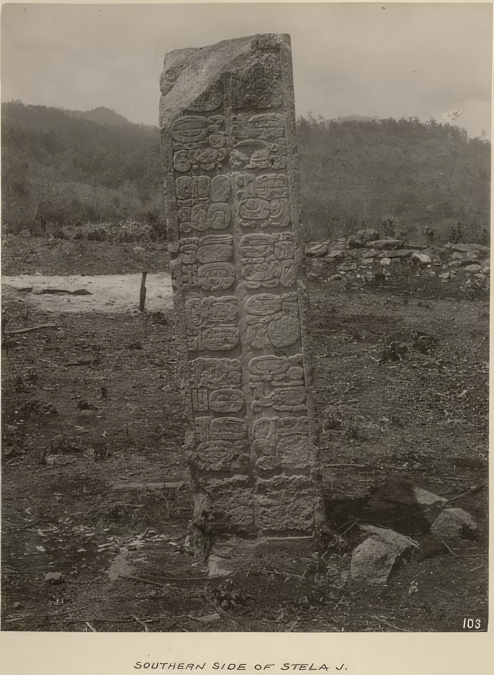 southern-side-of-stela-j_ef3ca665-a35f-409c-88f5-92aeab8f9f5a.jpg