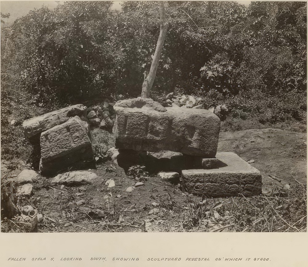 stela-5-looking-south-showing-sculptured-pedestal-on-which-it-stood_5c7566dc-7e7d-46d2-a168-b728f582d42f.jpg