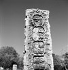 stela-f-at-copan_edf915a3-9dd7-4f16-b99f-641aa7ebb2dc.jpg