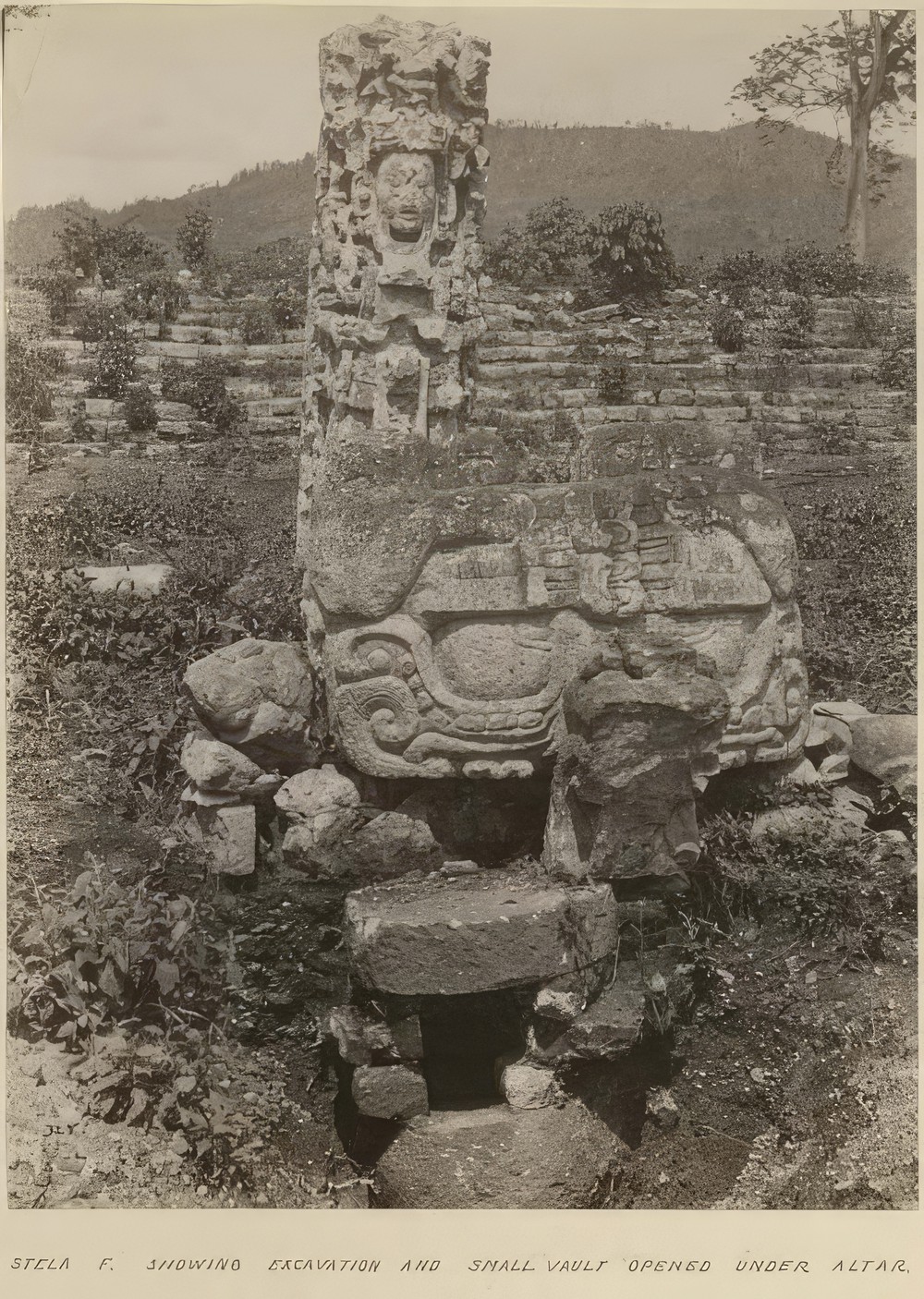 stela-f-showing-excavation-and-small-vault-under-altar_f4928571-abaf-4b05-8e2b-f92c3e8f2d72.jpg