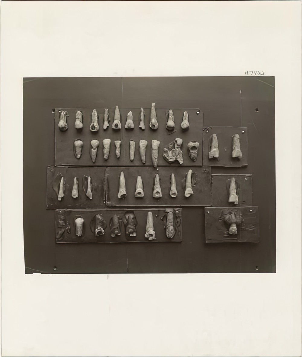 teeth-from-graves-at-copan_a81a9cf9-2f42-48fd-b73e-ff802b7a1495.jpg