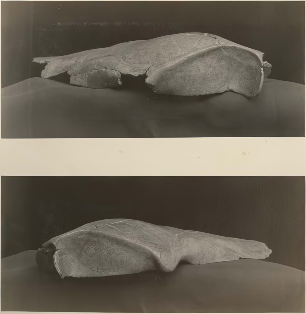 two-photographs-of-carved-peccary-skull-found-near-skeleton-2-tomb-1-side-view_244188a2-4283-425b-988e-5402bde59532.jpg