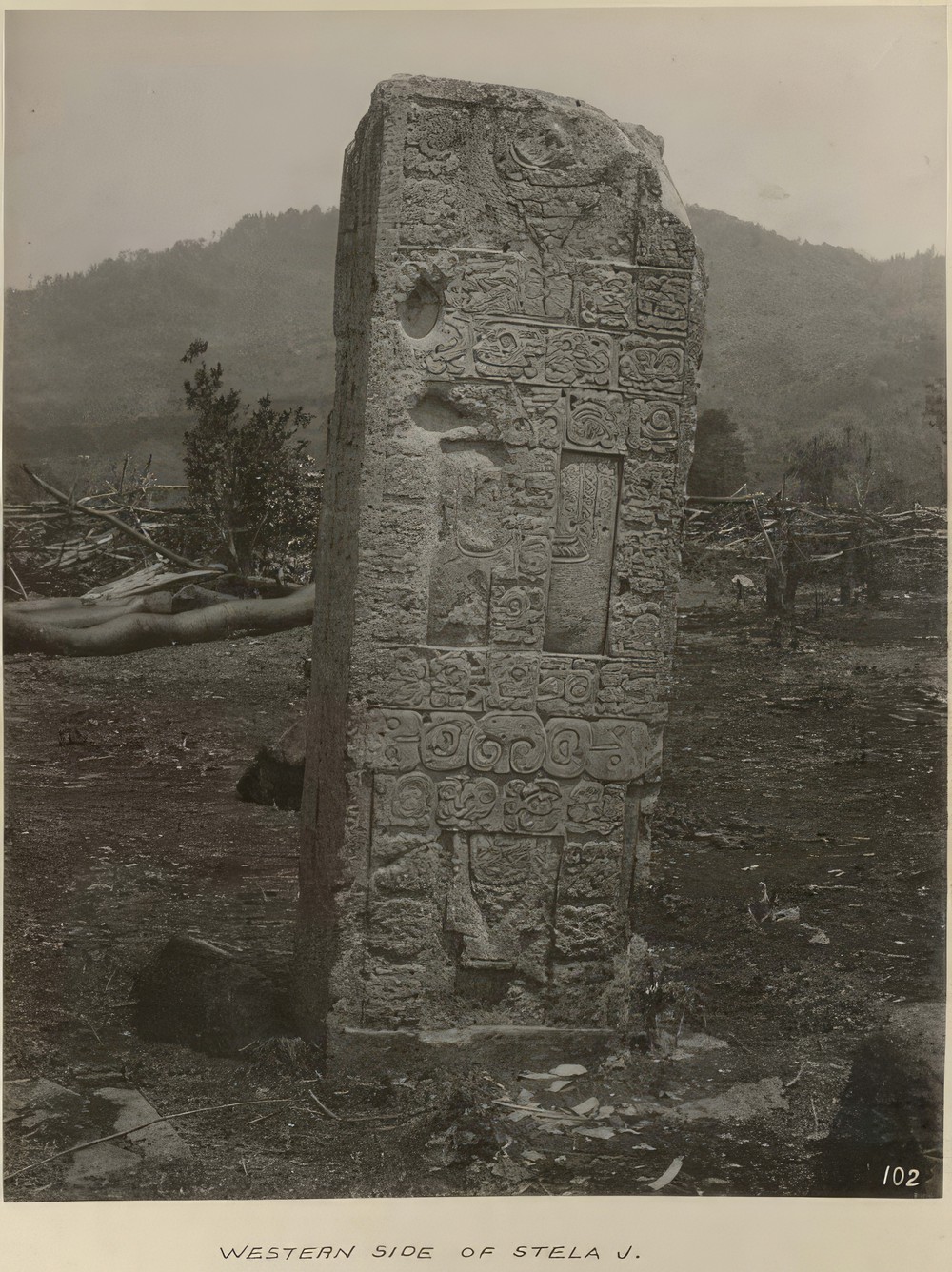 western-side-of-stela-j_68f411ea-6bf9-49d3-88e9-80bee1af983e.jpg